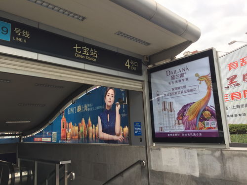 黛蘭娜品牌形象廣告在上海主要地鐵口隆重上線